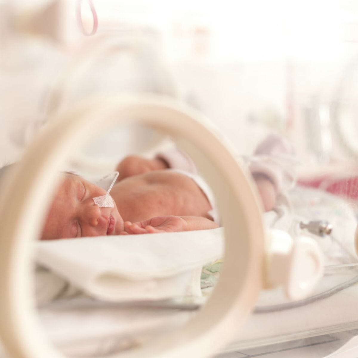 125492863_3560644364002089_256974313926807551_o